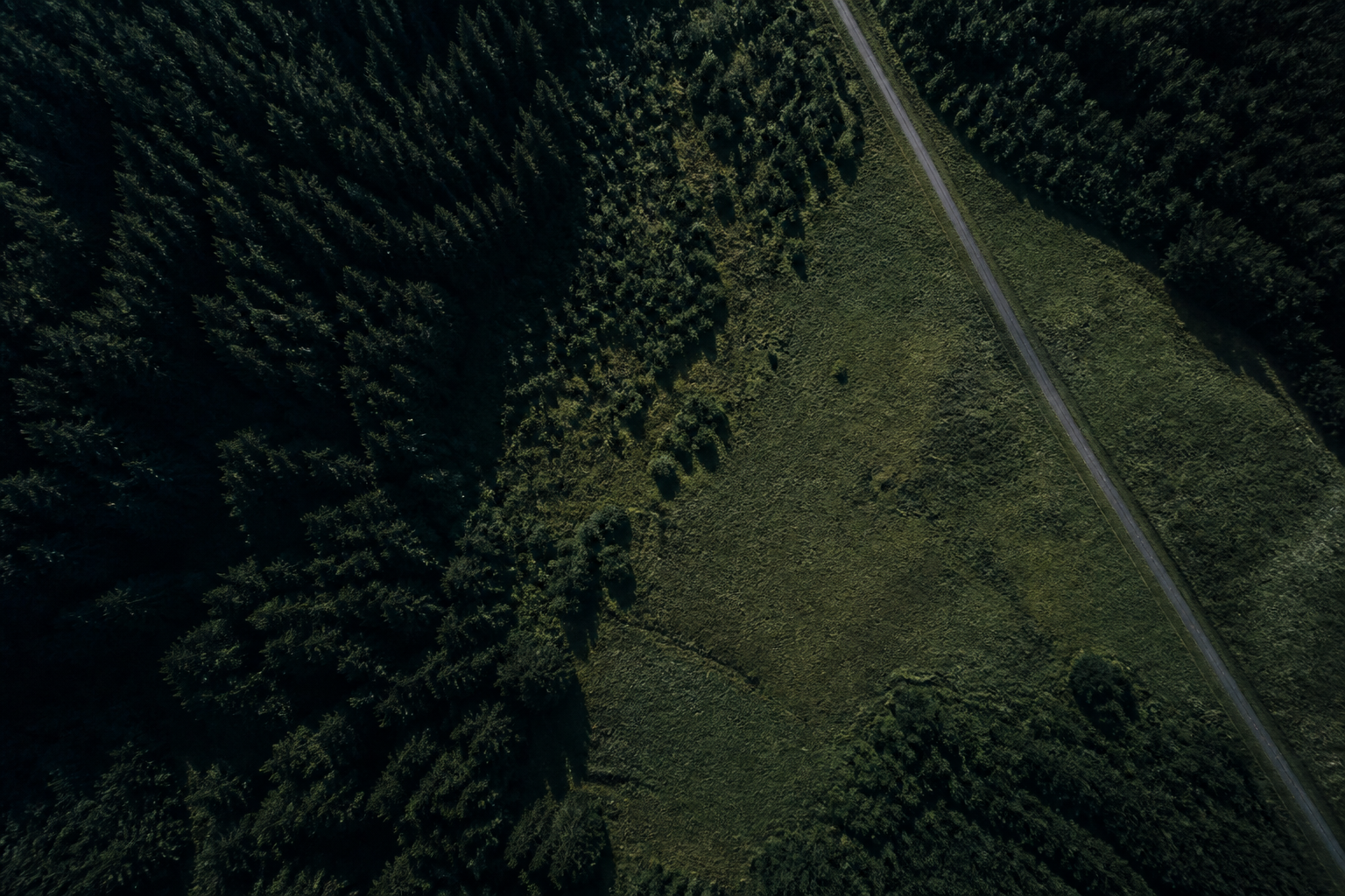 Sharp aerial view of undeveloped land and an access road